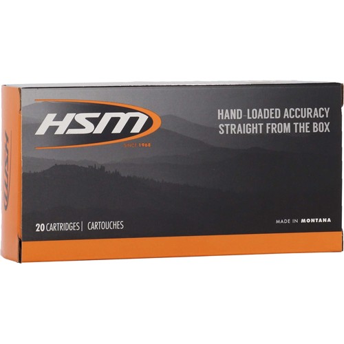 HSM 45-70 GOV 300GR HPFP