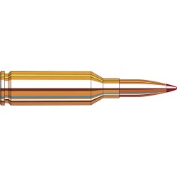 HORNADY BLACK 22 ARC 75GR