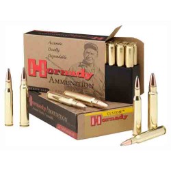 HORNADY 405 WIN 300GR SP