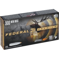 FEDERAL 300 WIN MAG 180GR