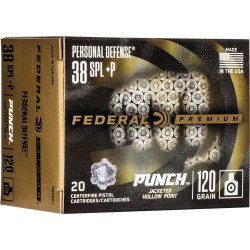 FEDERAL PUNCH 38 SPECIAL