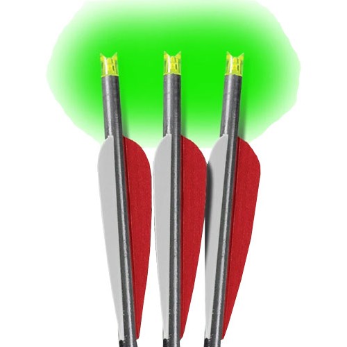 LUMENOK XBOW ARROW 20" BARNETT