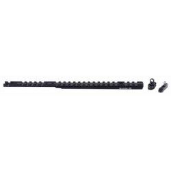 XS LEVER RAIL GHOST RING SIGHT